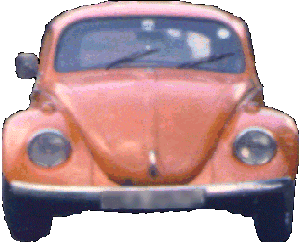 VW Beetle